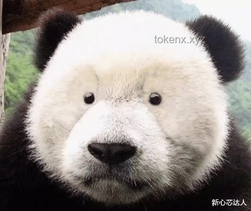 男子夜跑偶遇大熊猫，初以为是野猪出没：奇妙邂逅背后的生态保护启示